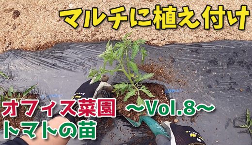 下のソーシャルリンクからフォロー