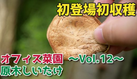 下のソーシャルリンクからフォロー