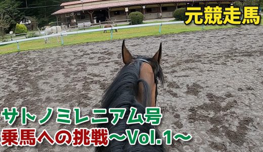 元競走馬サトノミレニアム号・乗馬への挑戦～Vol.1～