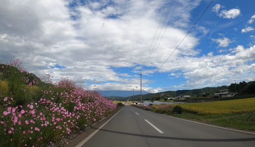 望月馬事公苑～県道151号湯沢望月線～望月方面左折【ドライブ風景・ノーカット】