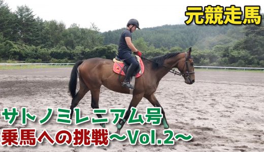 元競走馬サトノミレニアム号・乗馬への挑戦～Vol.2～