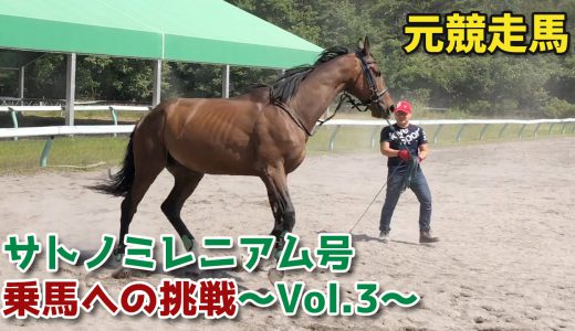 元競走馬サトノミレニアム号・乗馬への挑戦～Vol.3～