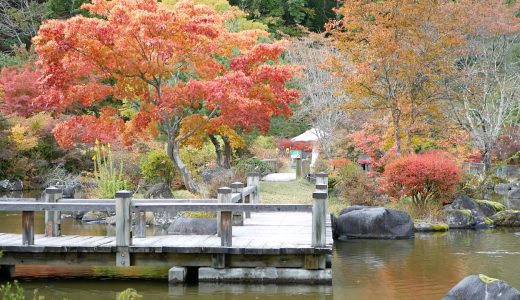 絶景の紅葉！長野県佐久市春日「ジリの木広場」日本庭園～Vol.1～