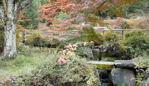 絶景の紅葉！長野県佐久市春日「ジリの木広場」日本庭園～Vol.2～