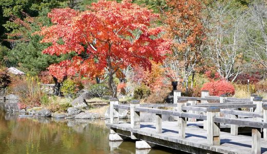 絶景の紅葉！長野県佐久市春日「ジリの木広場」日本庭園～Vol.3～