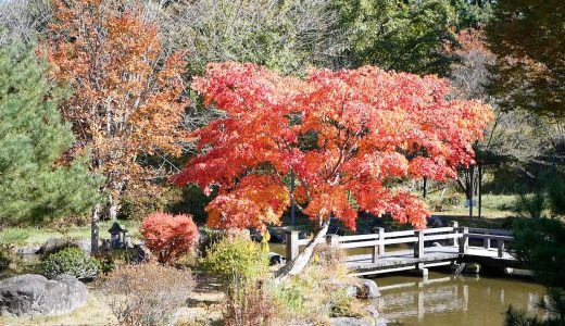 絶景の紅葉！長野県佐久市春日「ジリの木広場」日本庭園～Vol.4～