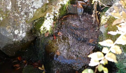 癒し効果あり！？水が流れる動画