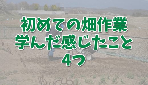 初シーズンを終えて畑作業から学んだ・感じたこと4つ【オフィス菜園】～Vol.35～