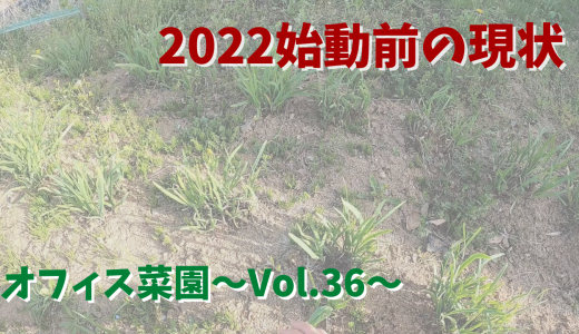 2022シーズン始動間近！畑の現状【オフィス菜園】～Vol.36～