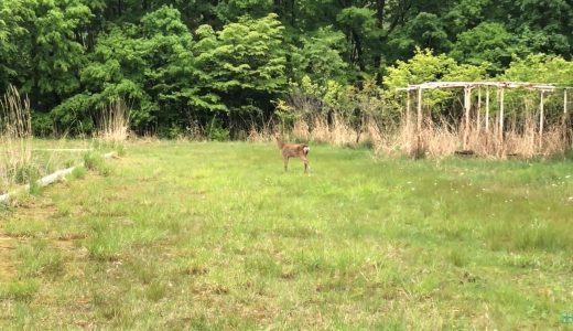 下のソーシャルリンクからフォロー