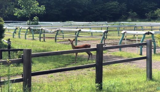 下のソーシャルリンクからフォロー