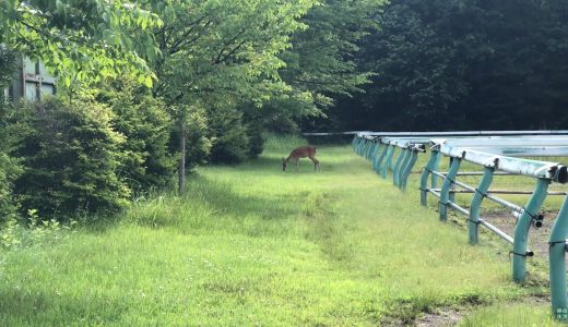 下のソーシャルリンクからフォロー