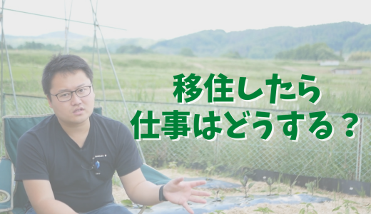 移住したら仕事はどうする？オススメの働き方・オススメしづらい働き方を考えてみた【移住体験談】