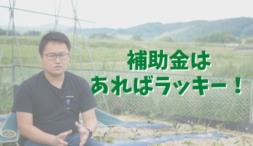 補助金はアテにしない方がいい理由3選【移住体験談】