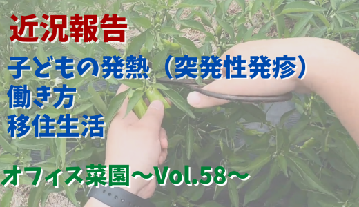 収穫しながら近況報告・子どもの発熱（突発性発疹）・働き方・移住生活【オフィス菜園】～Vol.58～