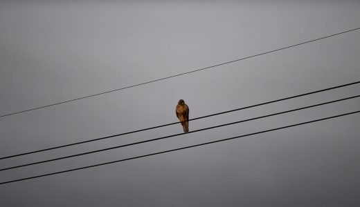 下のソーシャルリンクからフォロー