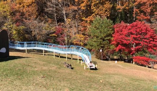 紅葉と大自然な公園での遊び