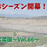 2023シーズン開幕・去年の片づけ&整理からスタート【オフィス菜園】～Vol.66～