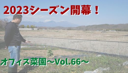 2023シーズン開幕・去年の片づけ&整理からスタート【オフィス菜園】～Vol.66～