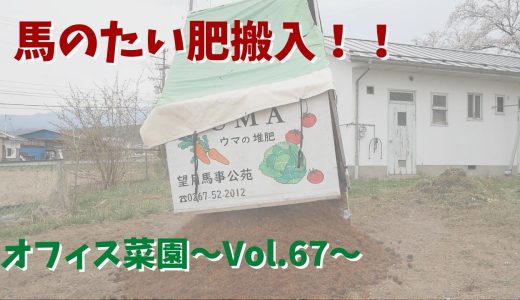 馬のたい肥搬入！残りの草むしり＆たい肥整備作業【オフィス菜園】～Vol.67～