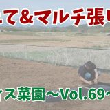 畝たて8本&マルチシート張り2本完了！【オフィス菜園】～Vol.69～